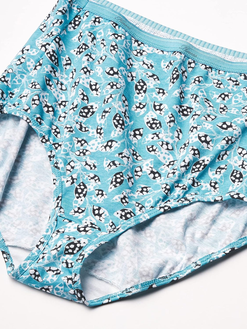 Hanes Women's Underwear Pack, 10-Pack, Full-Coverage Cotton Blend Panties, Moisture-Wicking Underwear for Women